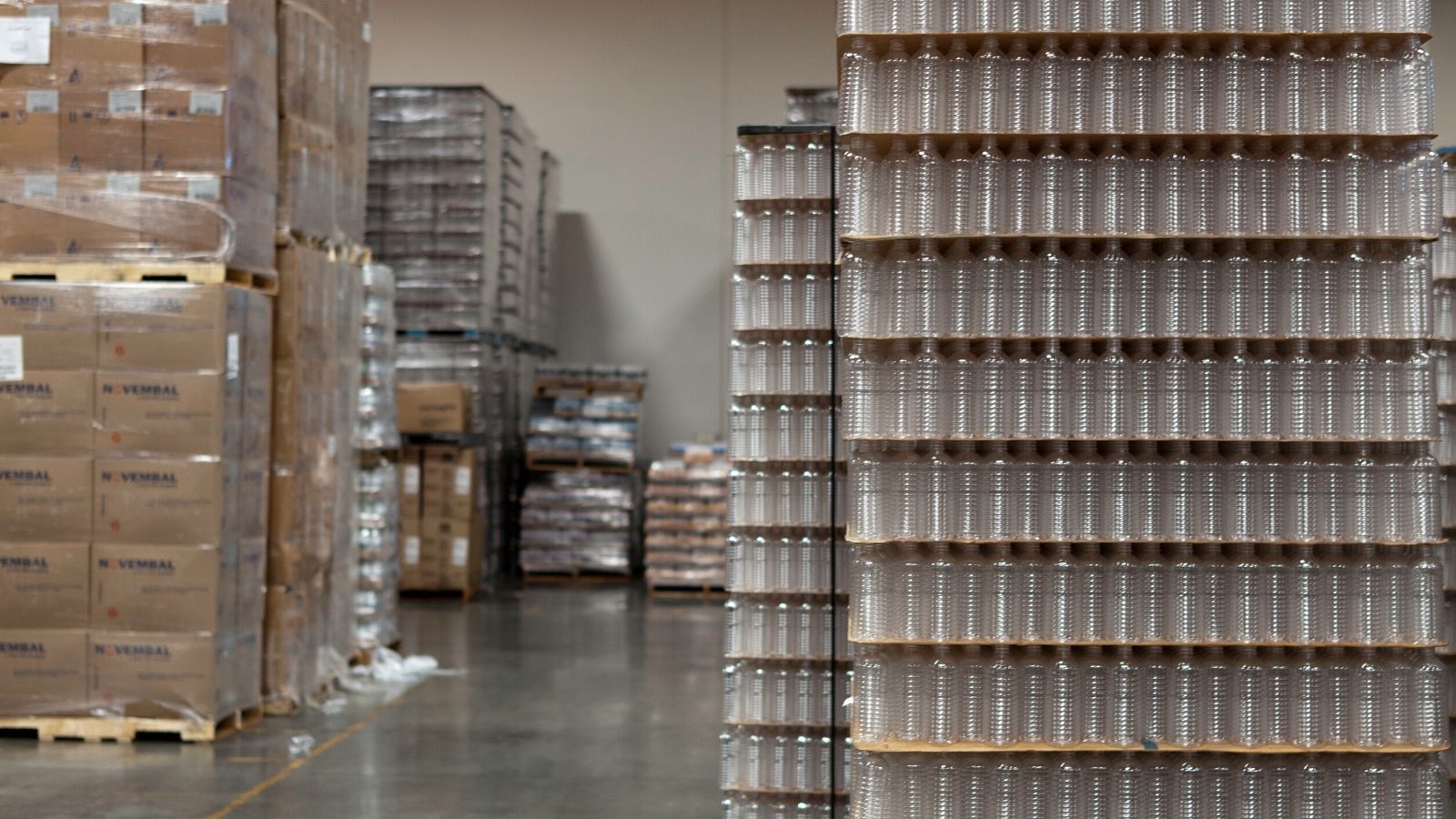 Web Exports Services