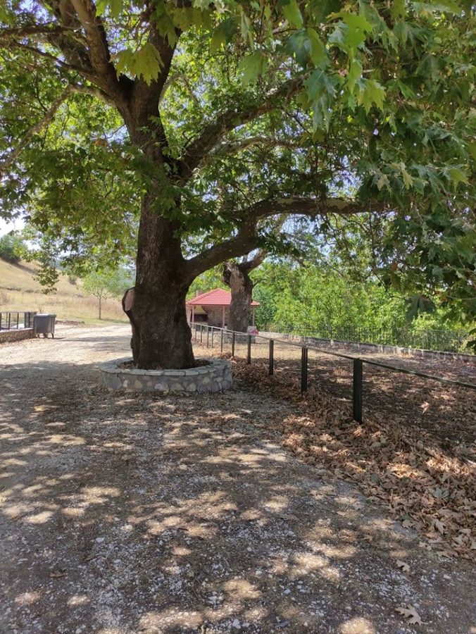 tserni omvriakis domokou