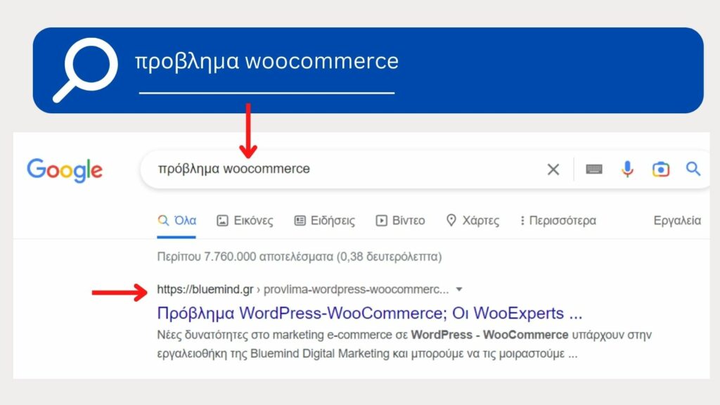 WooCommerce Experts στην κατασκευή eshop 2 kataskevi-eshop-me-wordpress-kai-woocommerce