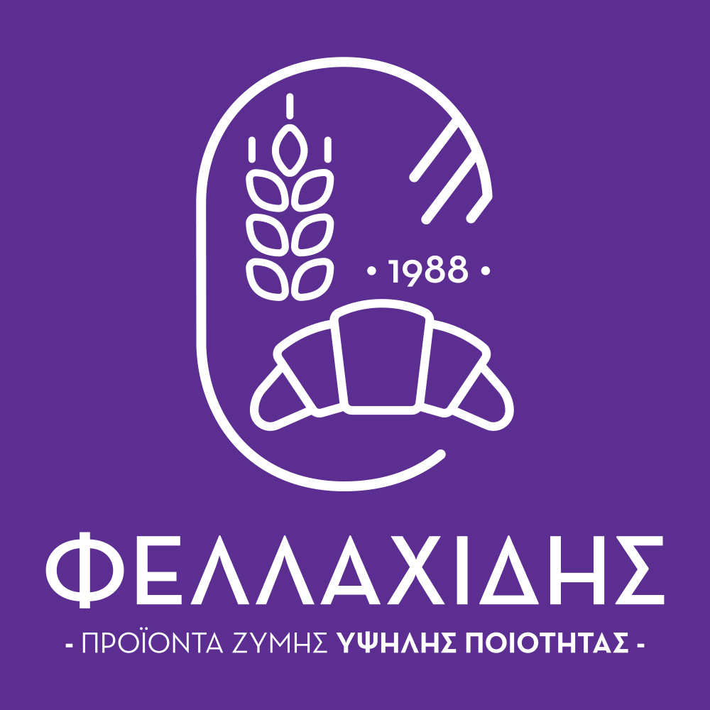 Εταιρεία SEO - βελτιστοποίηση ιστοσελίδων 3 FELAHIDIS invert