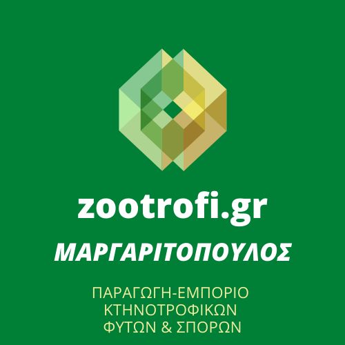 κατασκευη ιστοσελιδας