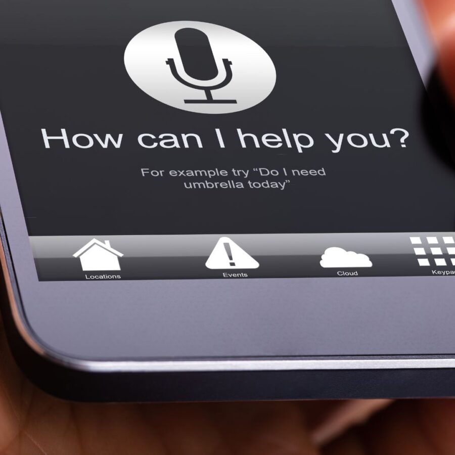 ypiresies voice ecommerce seo