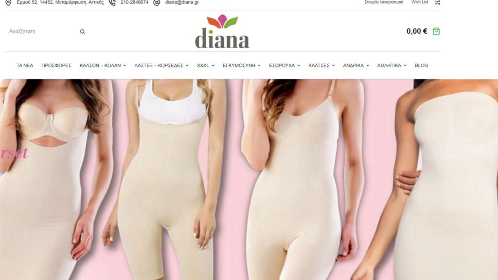 Κατασκευη eshop wordpress για τη diana από τη bluemind.gr